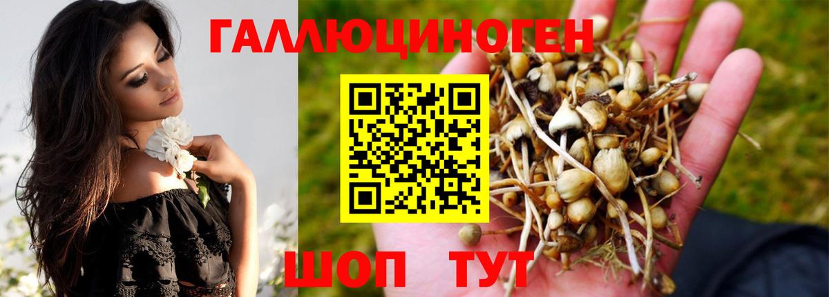 Краснокаменск  Псилоцибиновые грибы Psilocybine cubensis  Вход с VPN  Галлюциногенные грибы мухоморы 